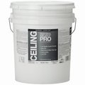 True Value Ceiling Paint 400CBW-5G